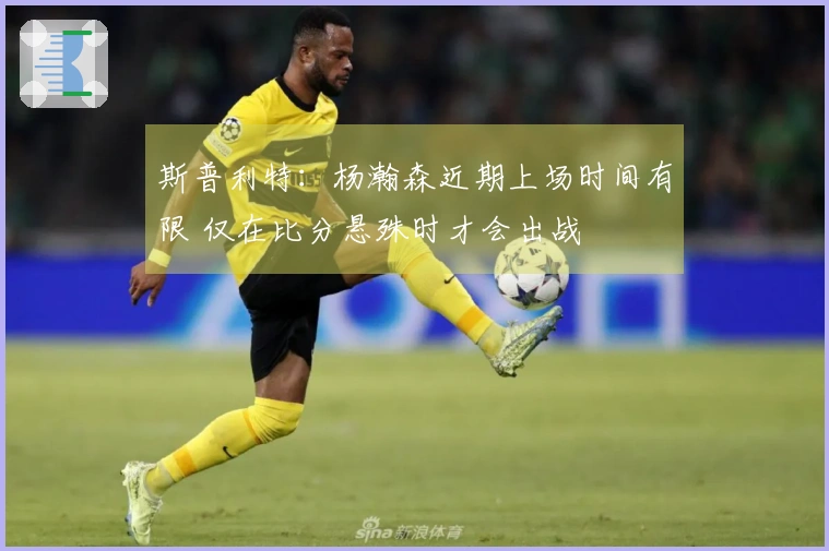 斯普利特：杨瀚森近期上场时间有限 仅在比分悬殊时才会出战