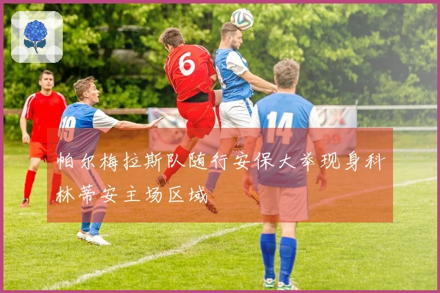 帕尔梅拉斯队随行安保大举现身科林蒂安主场区域